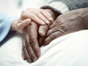 Palliative Care 101 Banner